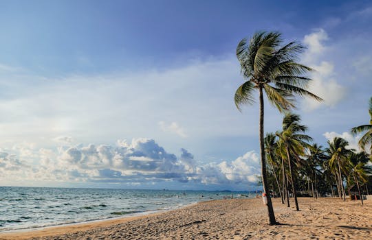 Idyllic tropical beach scene with palm trees, sandy shore, and a clear blue sky.