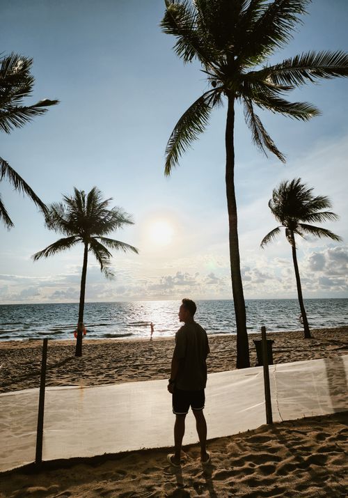 Free Serene sunset at a palm-lined beach with a man gazing at the ocean, perfect for travel inspiration. Stock Photo