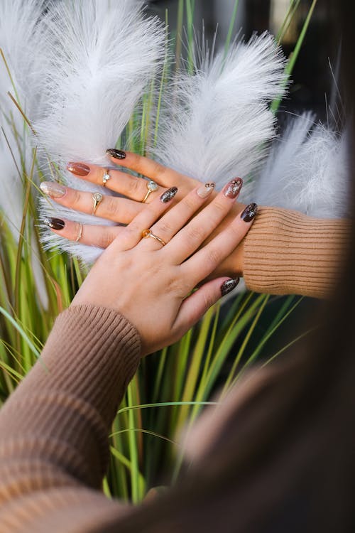 Free Hands of a Woman with Painted Nails  Stock Photo