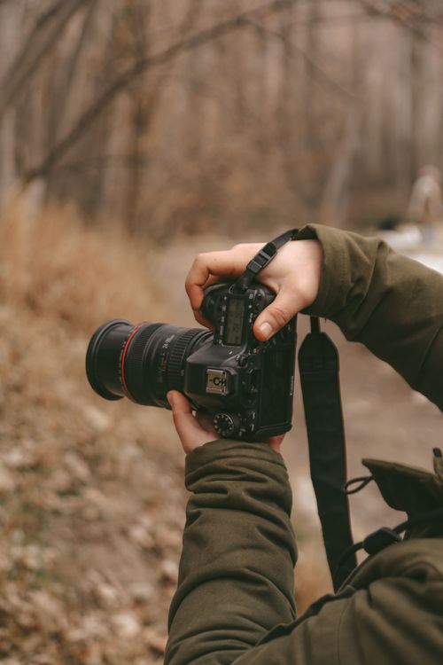 Free Person photographing autumn scenery in forest with DSLR camera. Stock Photo