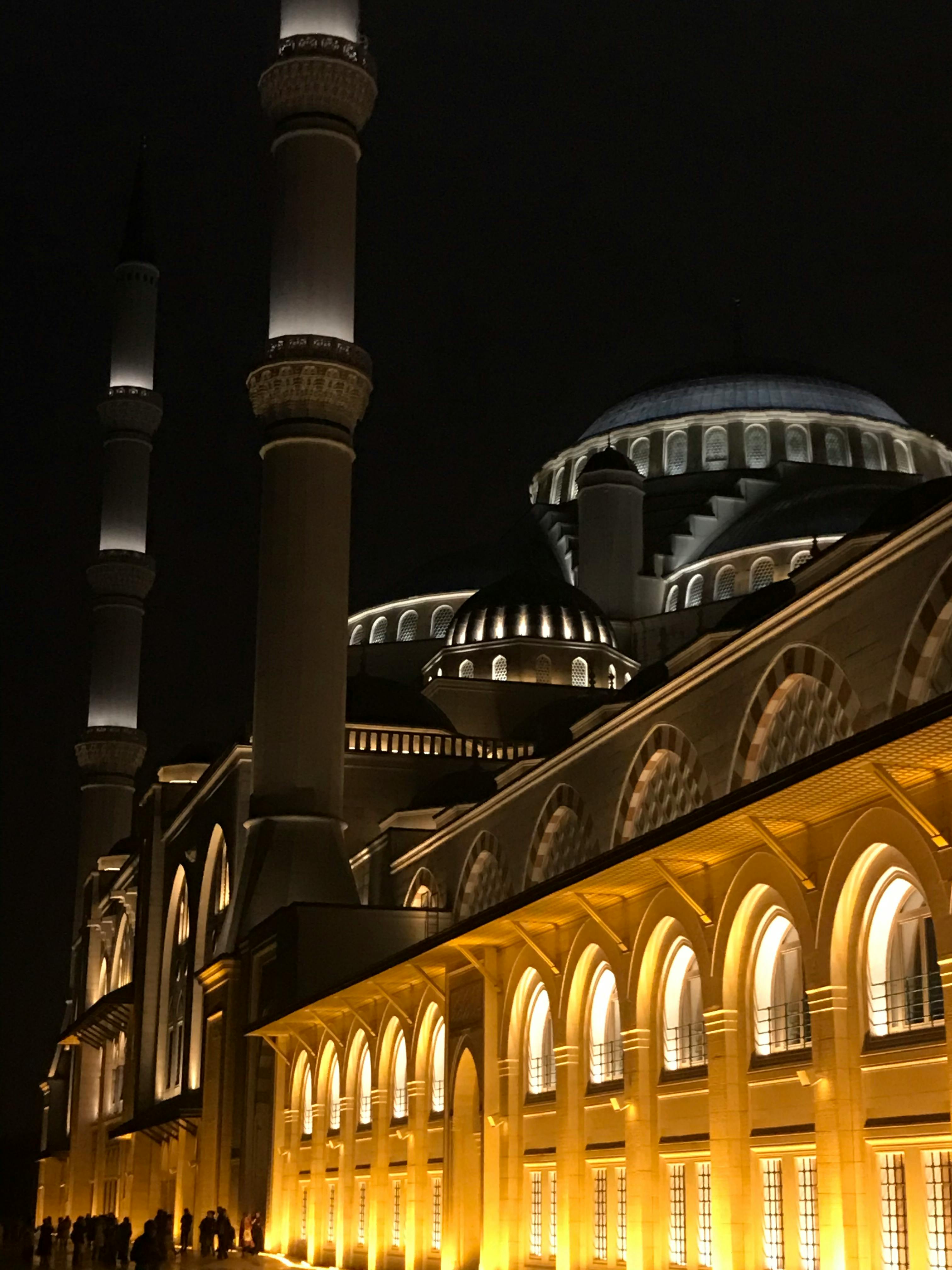 Ayşe BOLAT — Фотография