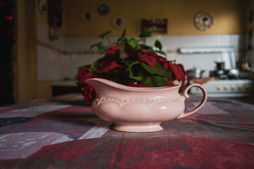 bağbozumu, eskiye dönüş, fincan tabağı içeren Ücretsiz stok fotoğraf