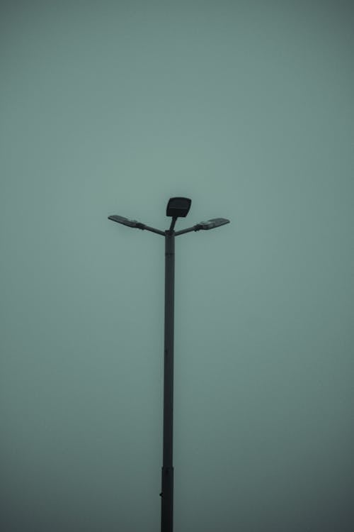 Streetlight amid the Fog 