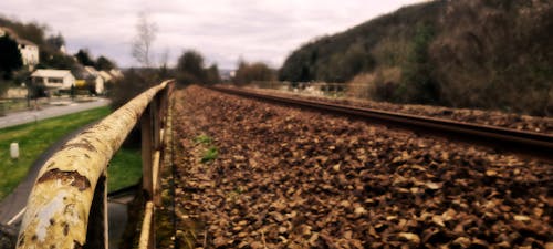 Free stock photo of softness, train tracks