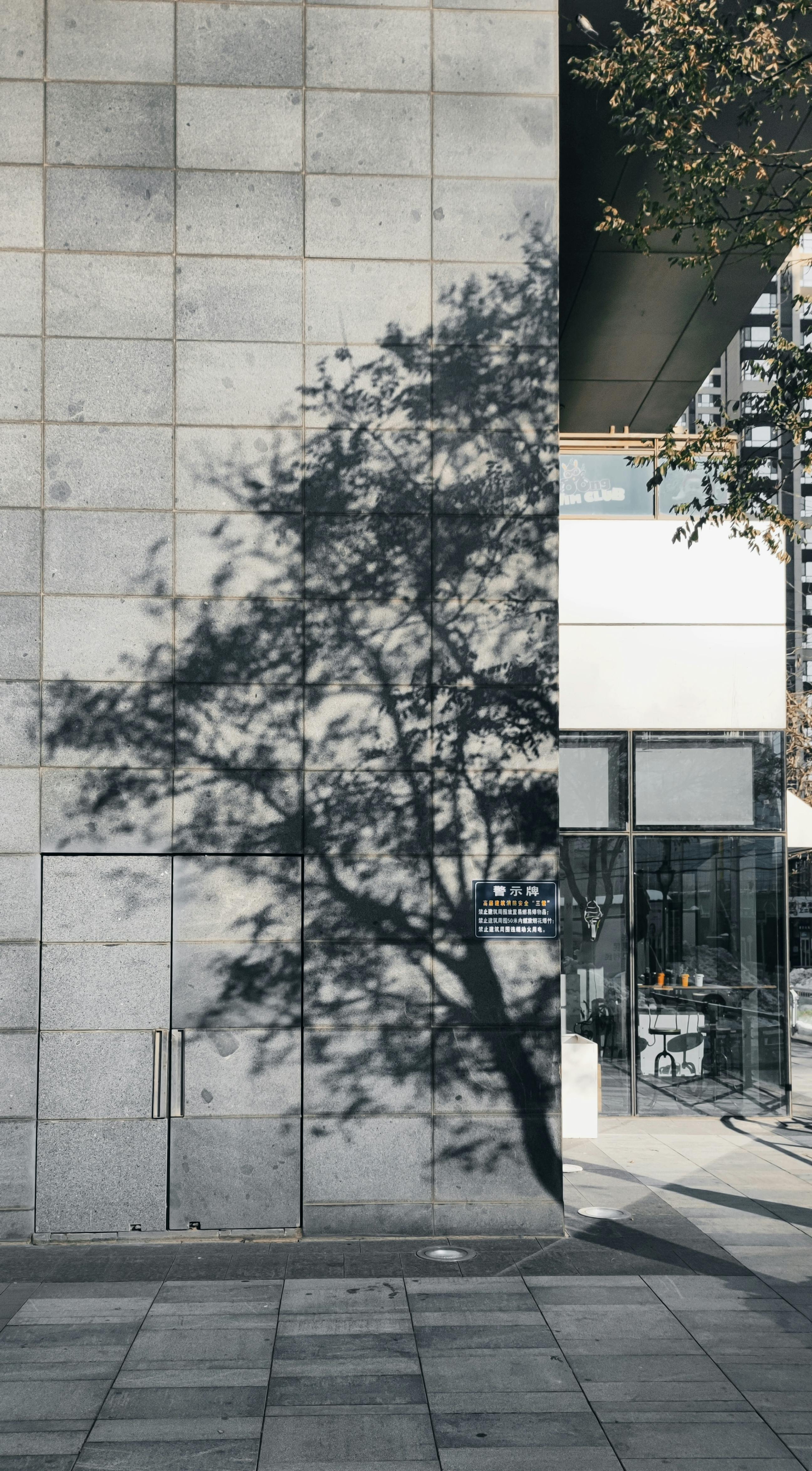 Photo by 王庆丰 王