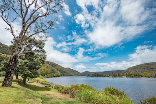 Scenic Landscape with a Lake 