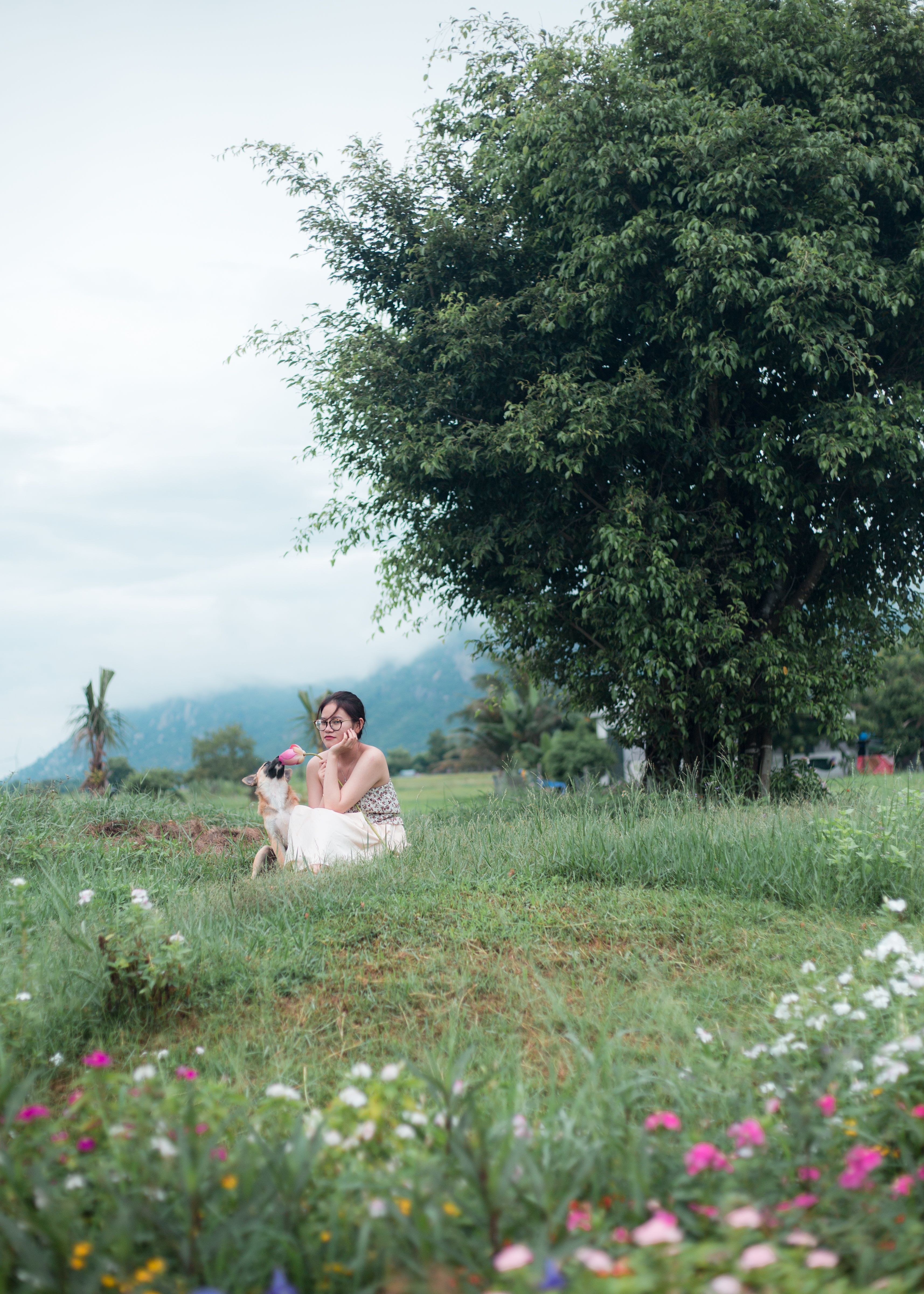 A woman in a peaceful meadow with a dog, surrounded by flowers and greenery.