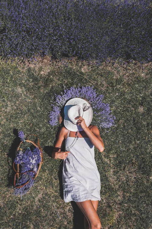 Woman Lying Down among Flowers