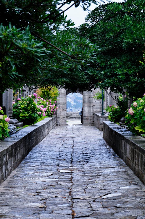 Stone Alley in Garden Leading to Balcony