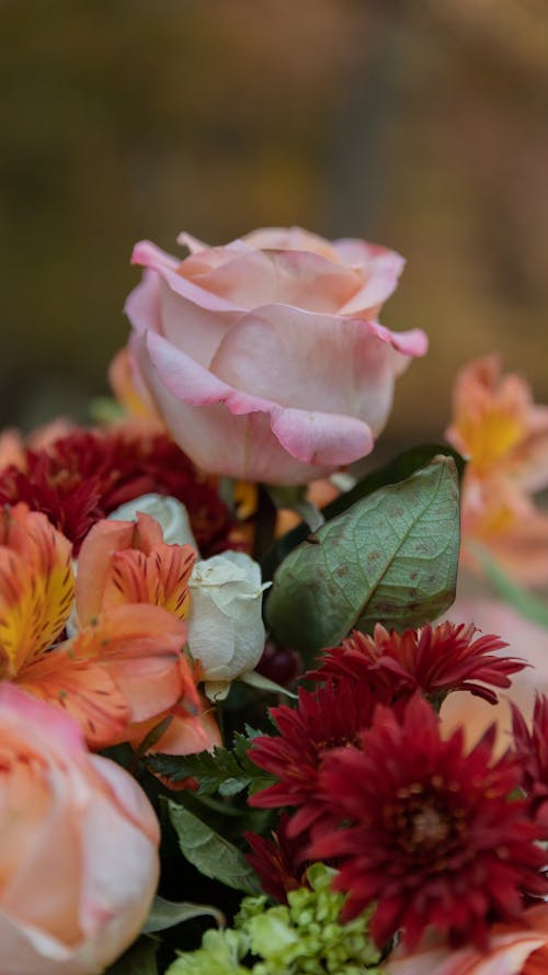 A Bouquet of Assorted Flowers in Close-up Shot