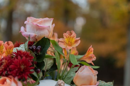 Rose and Peruvian Lily Bouquet 