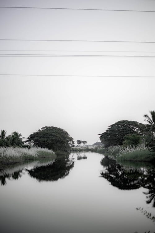 Darmowe zdjęcie z galerii z 4k, czarno-biały, fotografia krajobrazowa