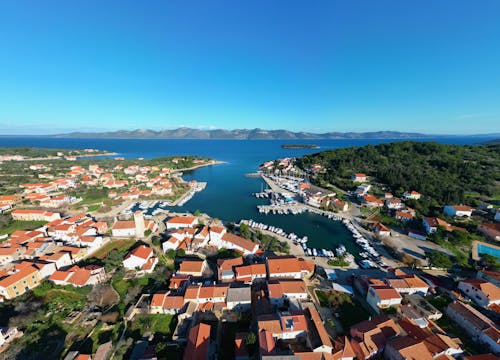 ağaçlar, binalar, deniz içeren Ücretsiz stok fotoğraf