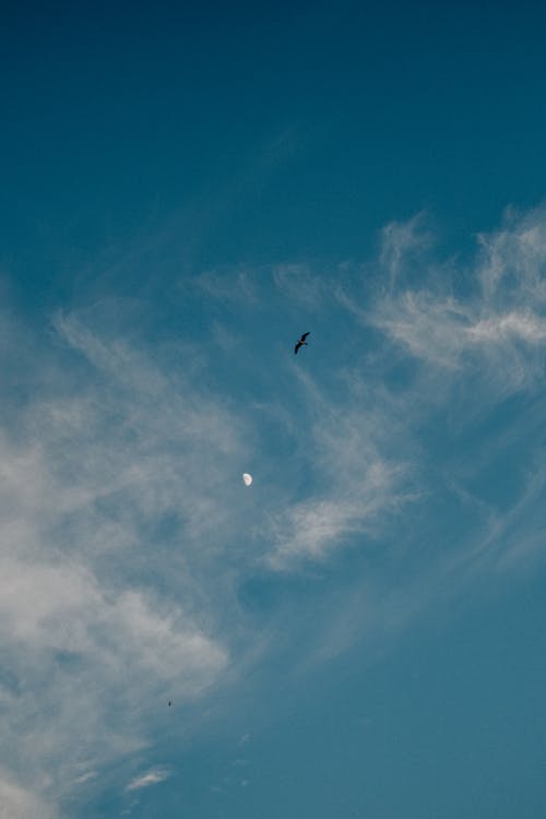 Základová fotografie zdarma na téma létání, mraky, obloha