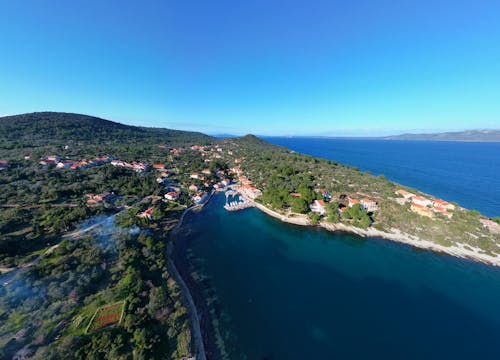 açık hava, ağaçlar, deniz içeren Ücretsiz stok fotoğraf