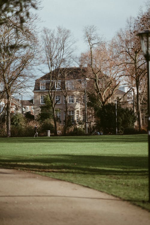 Gratis stockfoto met bomen, gazon, gras