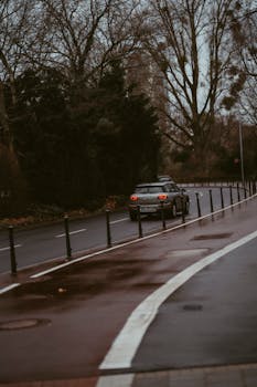 A car drives along a wet road in a gloomy autumn setting, lined with bare trees.