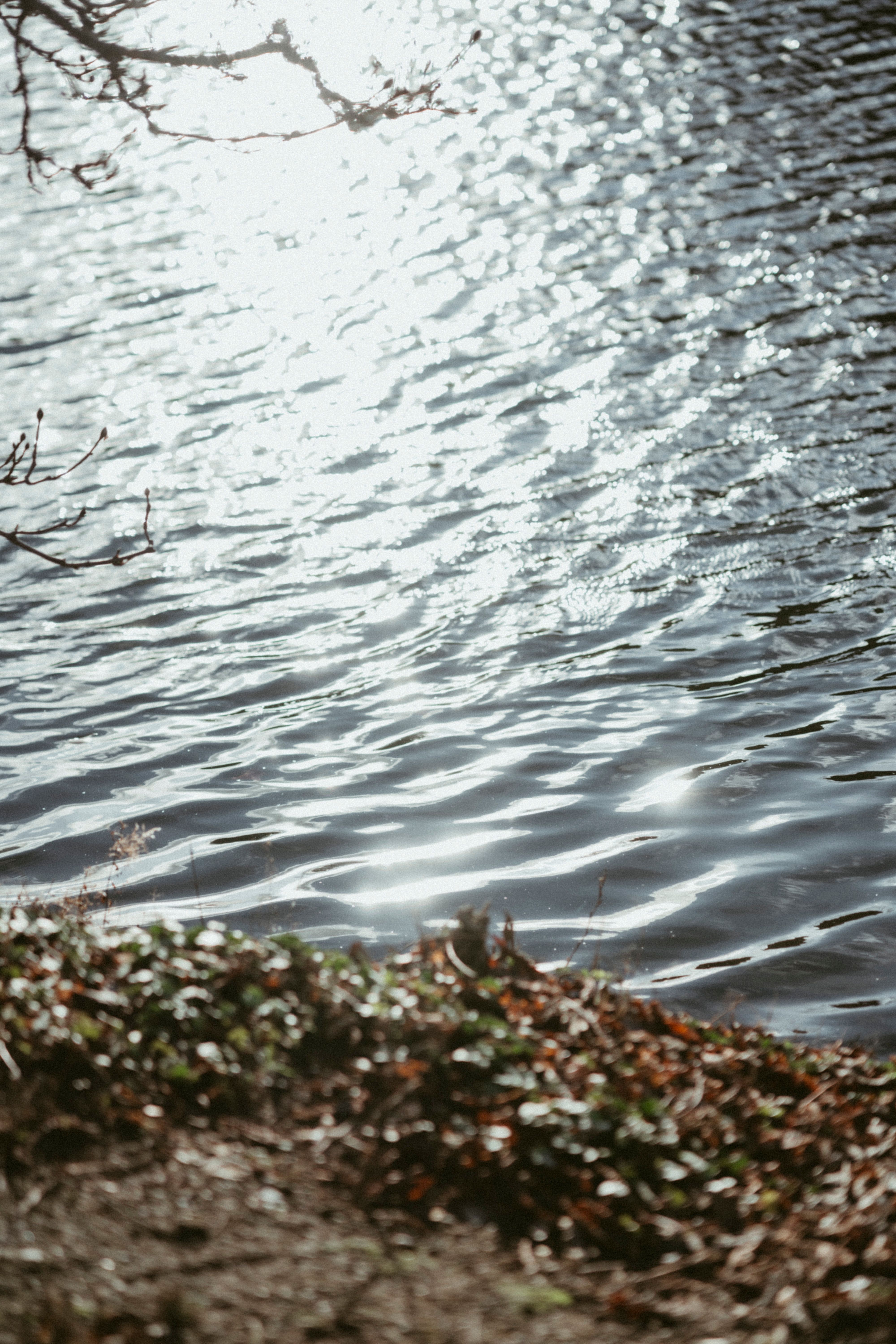 Sunlight Reflecting in Fountain Water · Free Stock Photo
