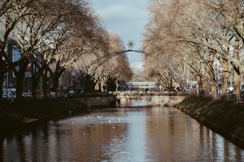 Základová fotografie zdarma na téma břehy řeky, deutschland, most