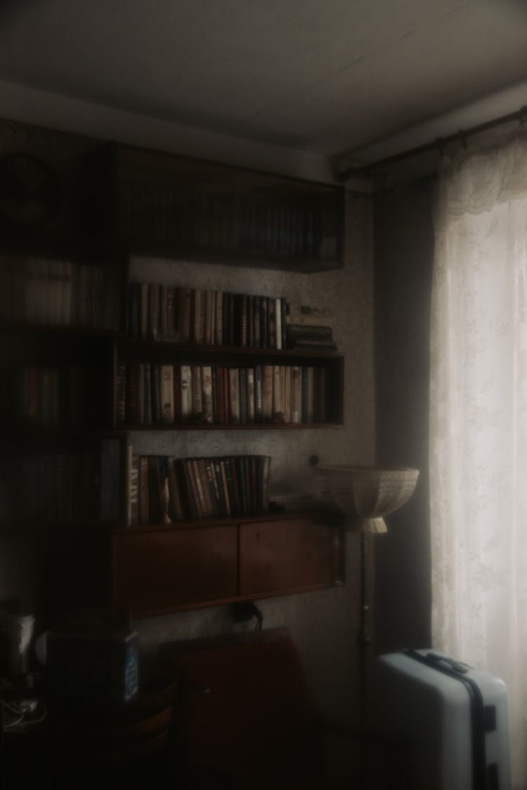 Books On Wooden Shelf