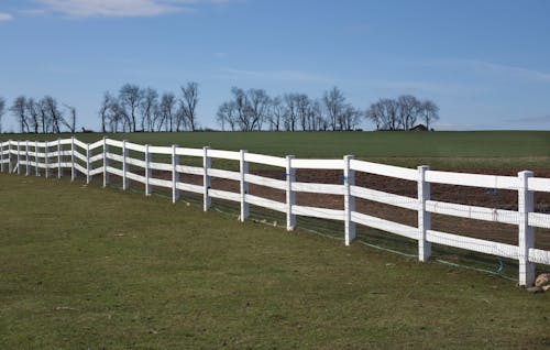 乾草地, 围栏, 夏天 的 免费素材图片