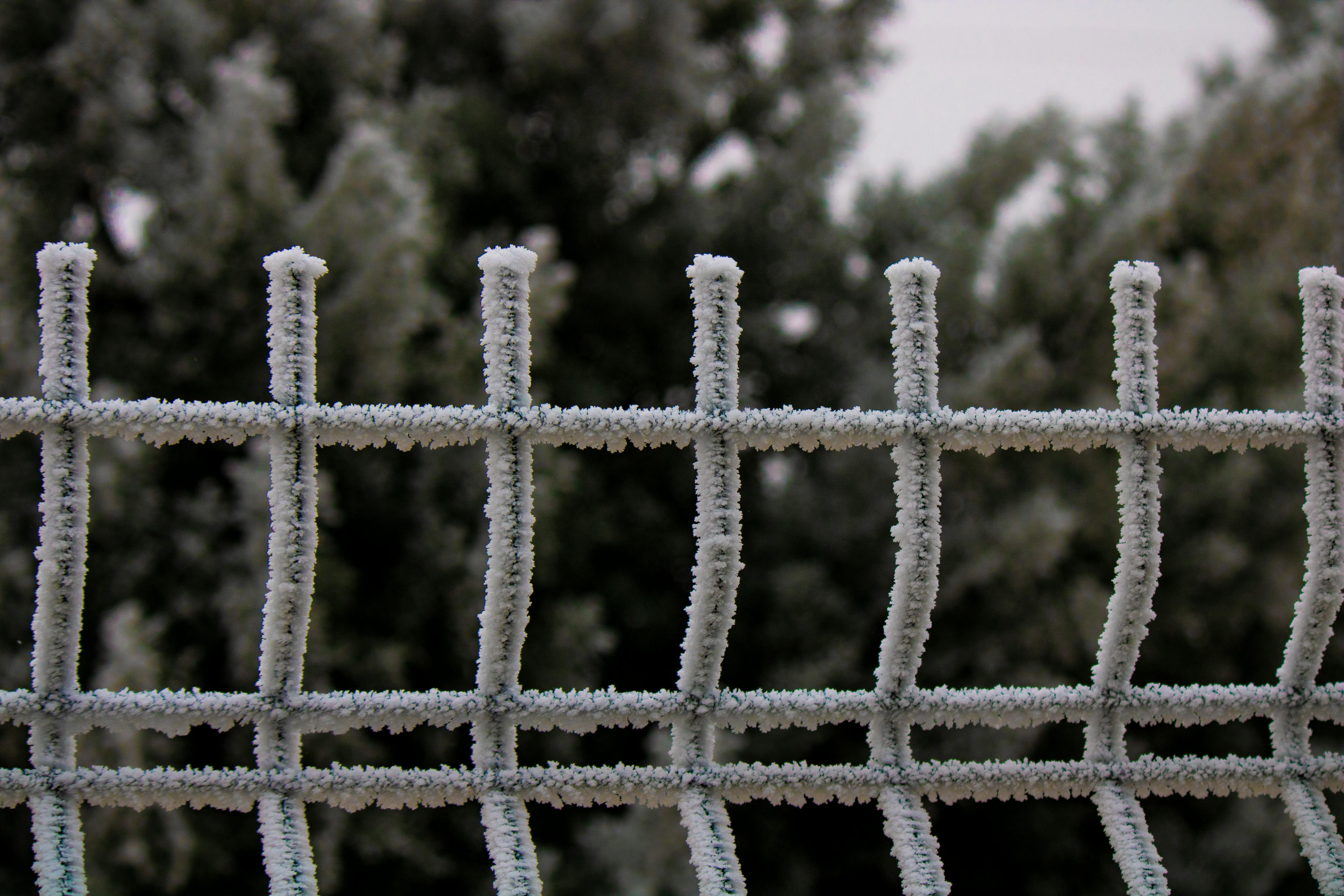 Can you tell if ivory is real?