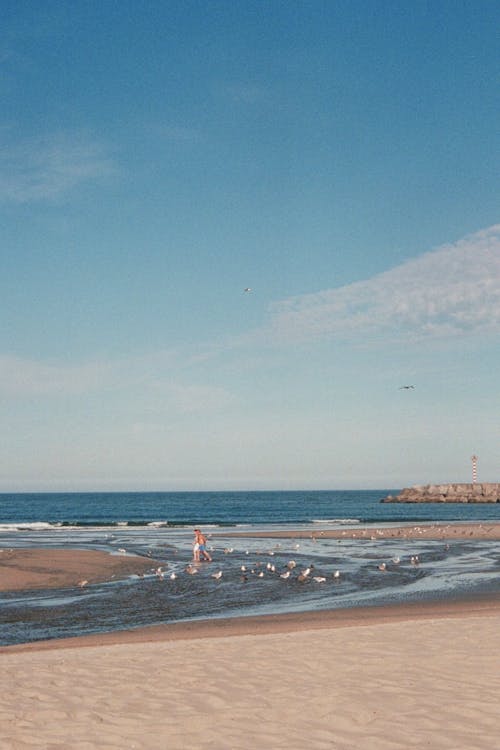Fotobanka s bezplatnými fotkami na tému modrá obloha, more, morské pobrežie