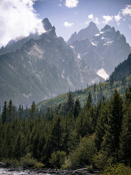 無料 ロッキー, 垂直ショット, 山岳の無料の写真素材 写真素材