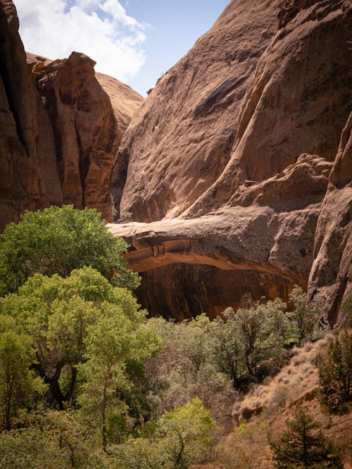 Kostnadsfri bild av arches nationalpark, bergen, kanjon