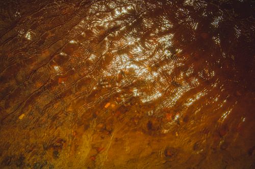 Free Golden sunlight dances on the ripples of a river in São Miguel dos Milagres, Brazil. Stock Photo