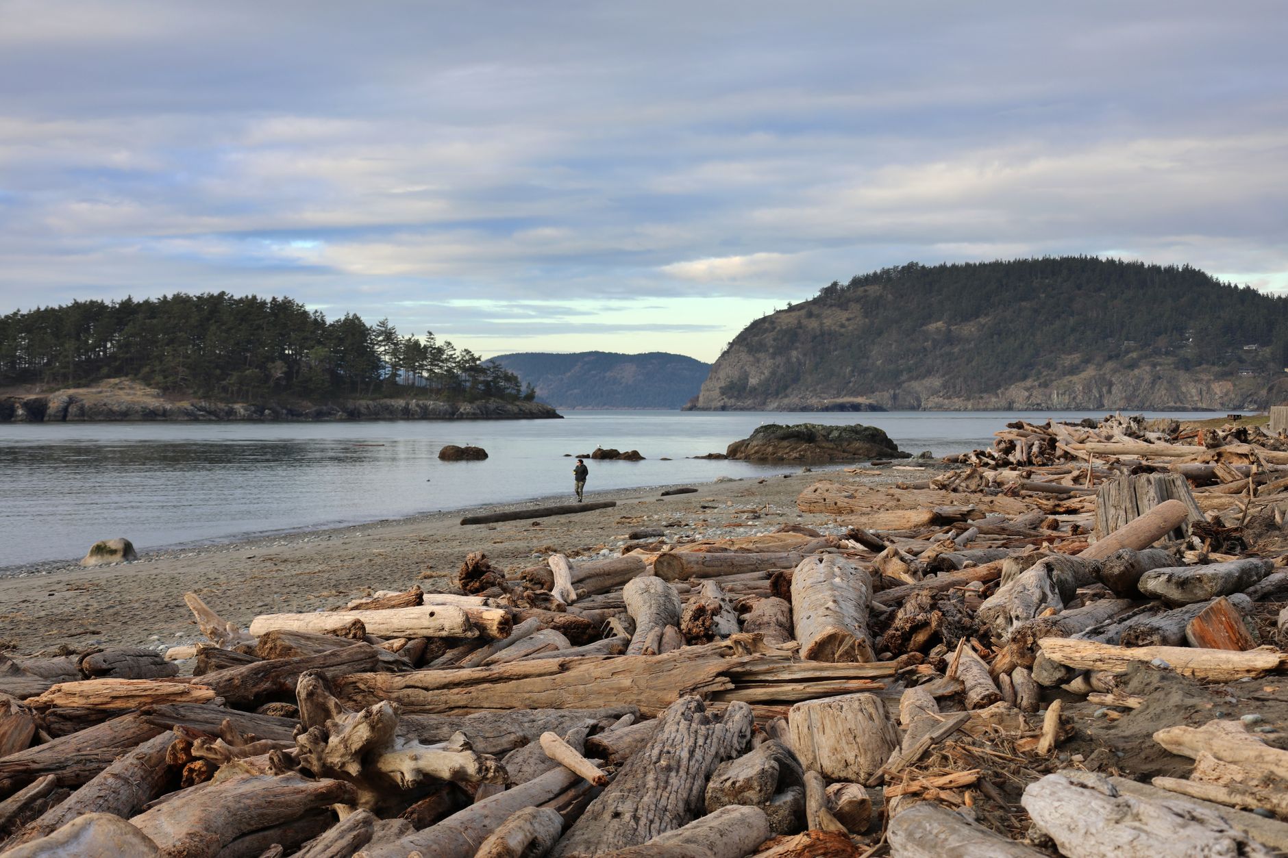 Tranquil scene with driftwood on a rocky beach and scenic view of Seattle coastline.
