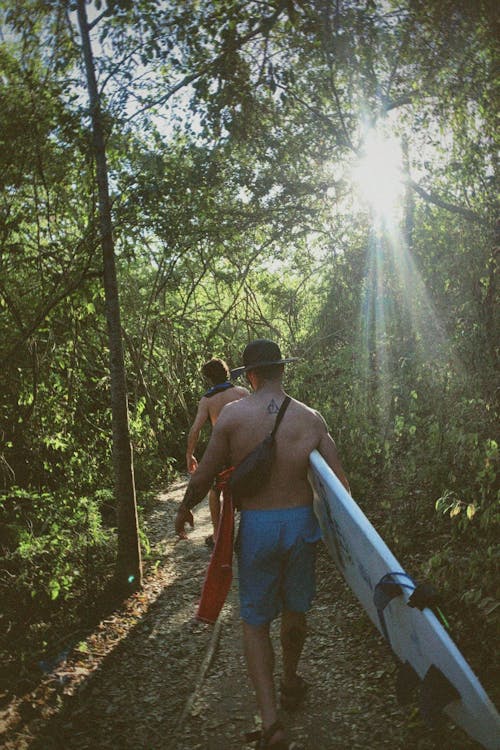 Foto profissional grátis de férias, floresta, homens