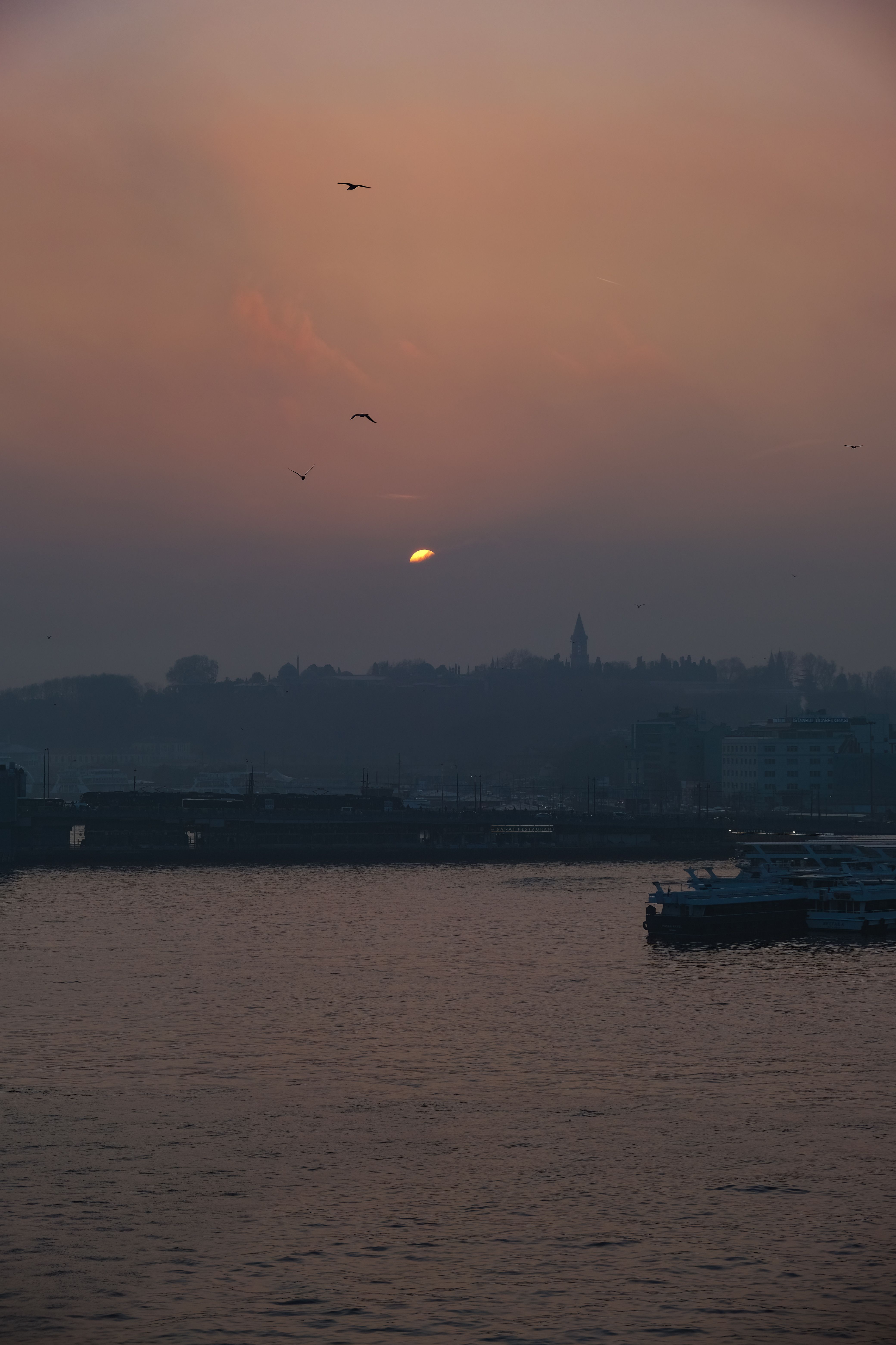 A Cruise Ship on the Bosphorus Strait · Free Stock Photo