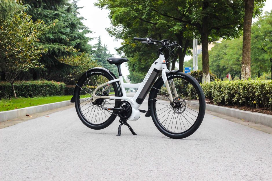 Heybike Race Max Electric Bike