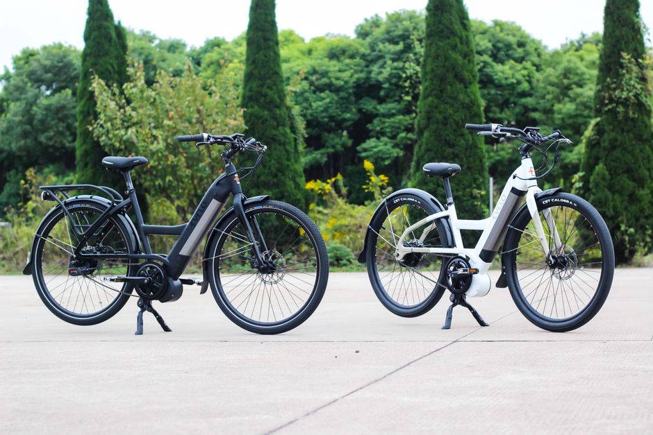 Two electric bicycles parked outdoors in a scenic summer setting.