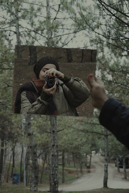 ağaçlar, ayna, başörtüsü içeren Ücretsiz stok fotoğraf