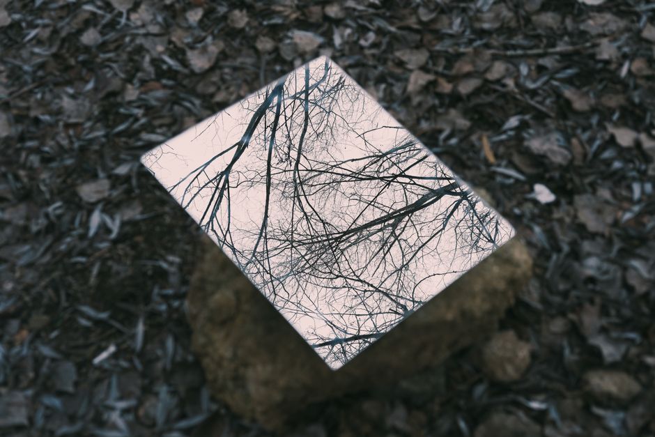 A creative mirror reflection of tree branches in a natural forest setting.