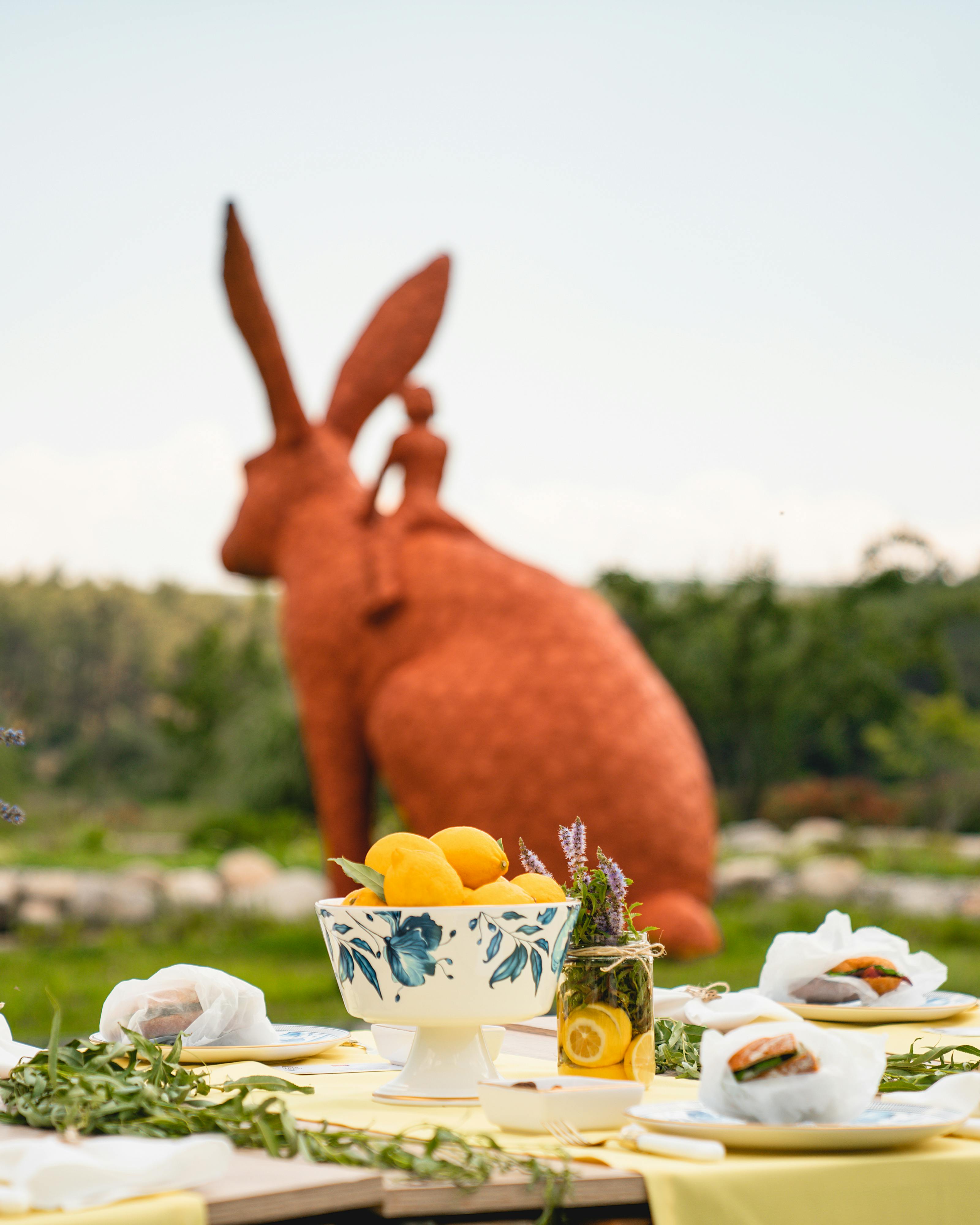 Easter Bunny Travel Photos, Download The BEST Free Easter Bunny Travel