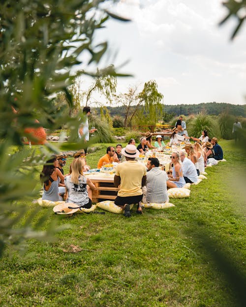 People Having Party in Meadow