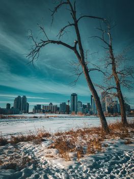 A stunning winter view of Calgary's skyline with snow-covered landscape and clear blue sky.