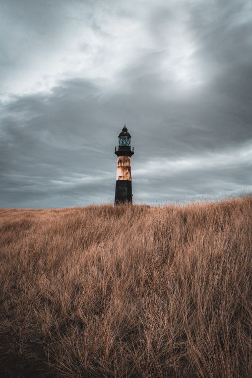 Free A solitary lighthouse stands amidst golden grass under a dramatic, cloudy sky. Stock Photo