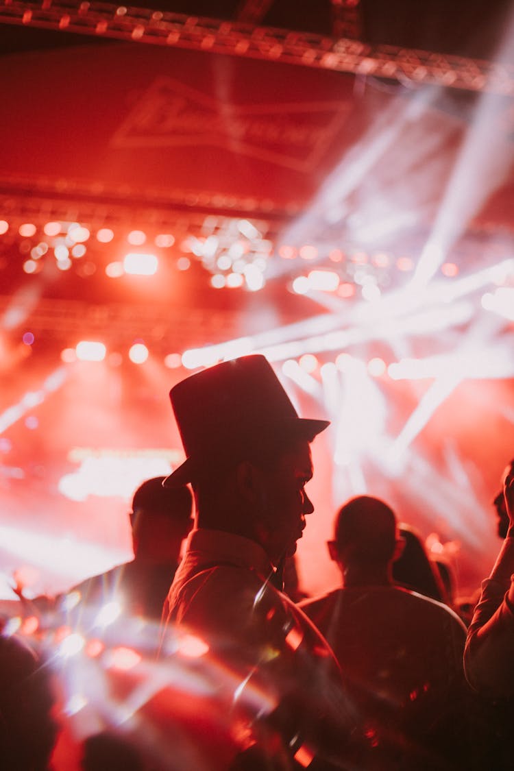 Side Profile Of A Man Wearing Hat In A Concert 