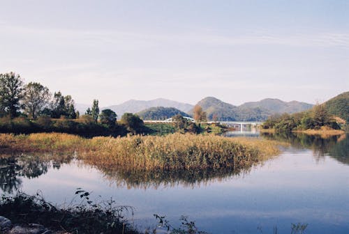 Free Landscape with Hills and Plants Reflecting in a Pond Stock Photo