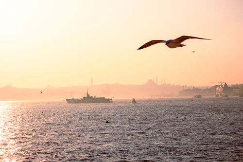 Free A serene view of a seagull flying over the Bosphorus with Istanbul's skyline at sunset. Stock Photo