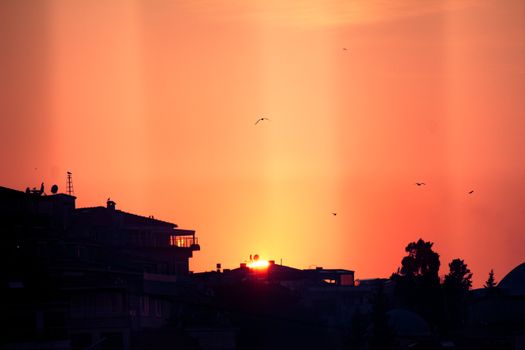 City skyline silhouette at sunrise with vibrant orange sky and birds.