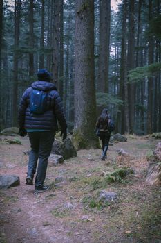 A man and woman hiking through a dense, tranquil forest in winter.