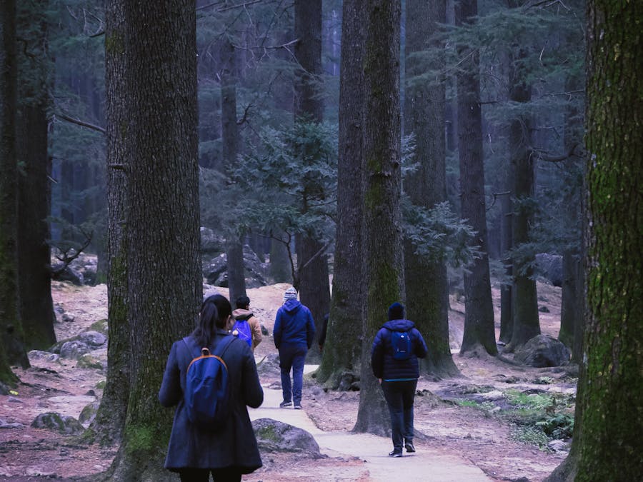 Photo by Priyanshi  Garg