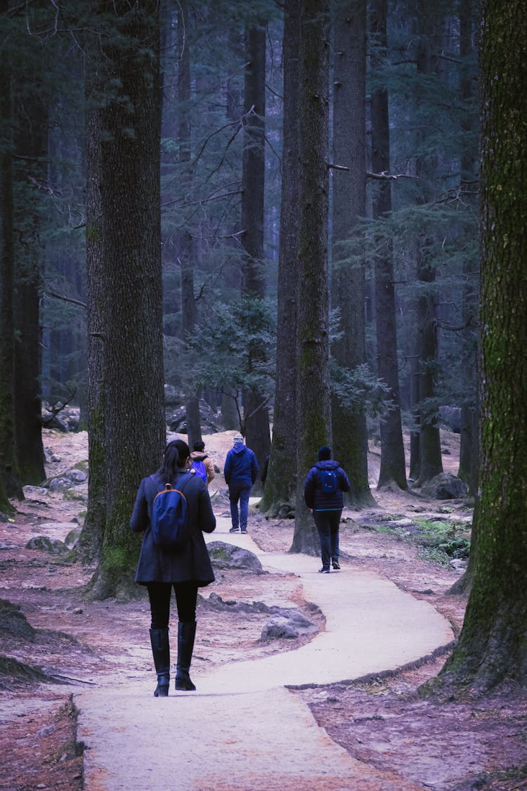 People Trekking Following A Trail