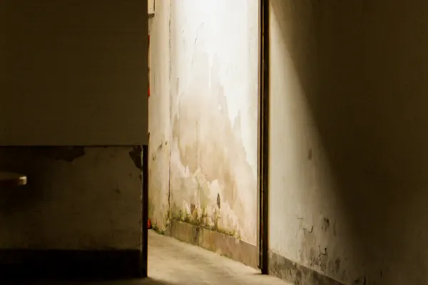Mold Remediation After Water Damage