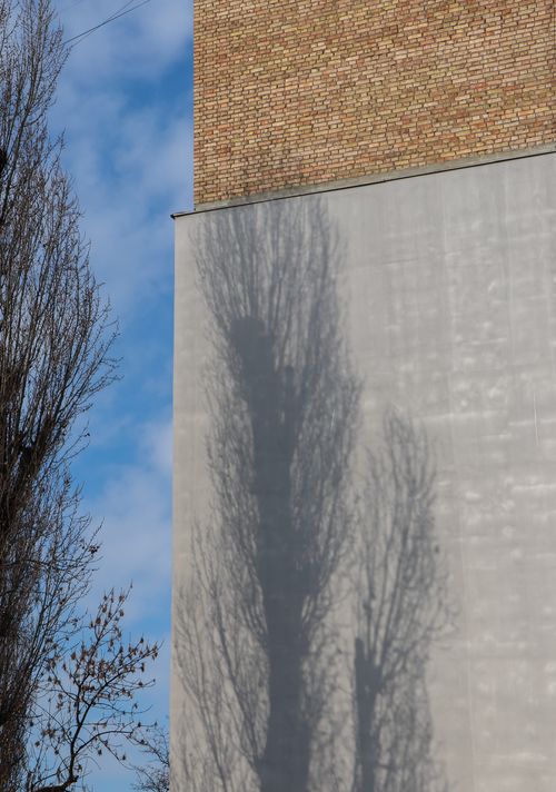 Free Tree shadow Stock Photo